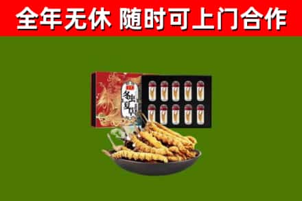 呼图壁县烟酒回收冬虫夏草礼盒.jpg